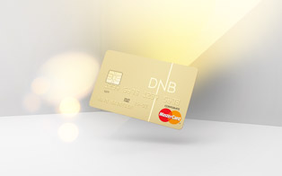DNB Credit Card Visualisation. Agency ANTI